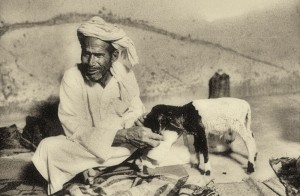maziz lamb 11 copy nomad man wearing turban feeds goat from hand